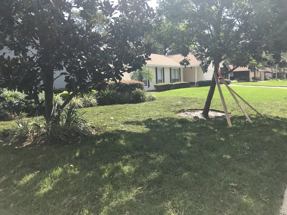Expert yard cleanup service in Altamonte Springs, FL - Lawn Enforcement By The Book