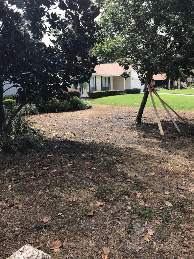 Reliable yard cleanup service in Altamonte Springs, FL - Lawn Enforcement By The Book