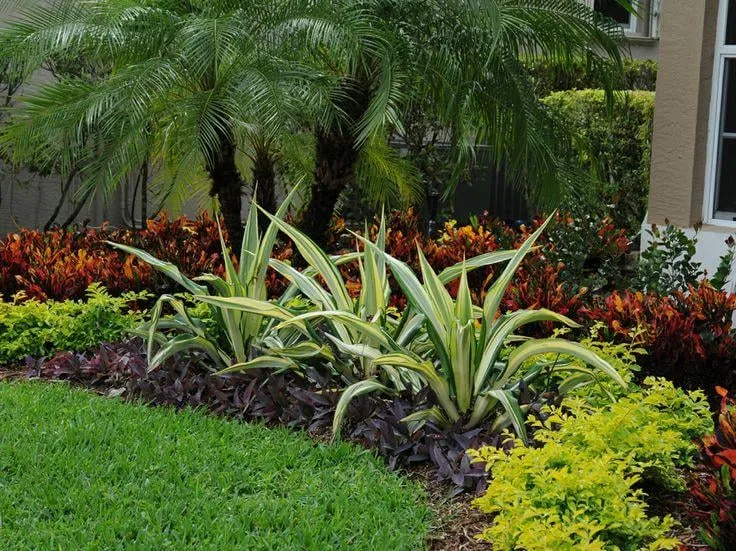 Top-rated landscape design experts serving Davie, FL - Lawn Enforcement