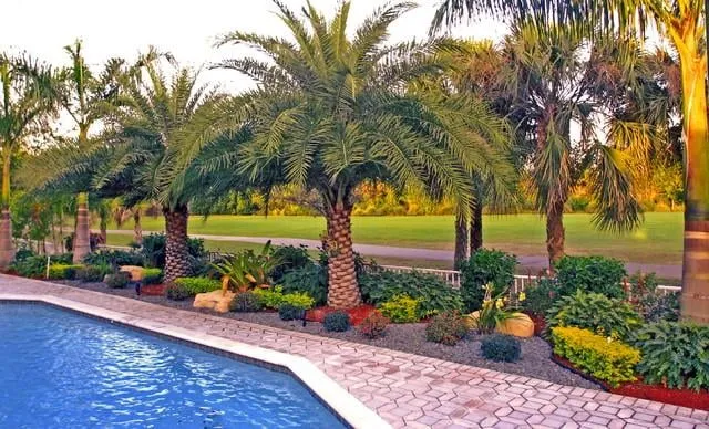 Reliable landscaping services for beautiful yards in Davie, FL by Lawn Enforcement
