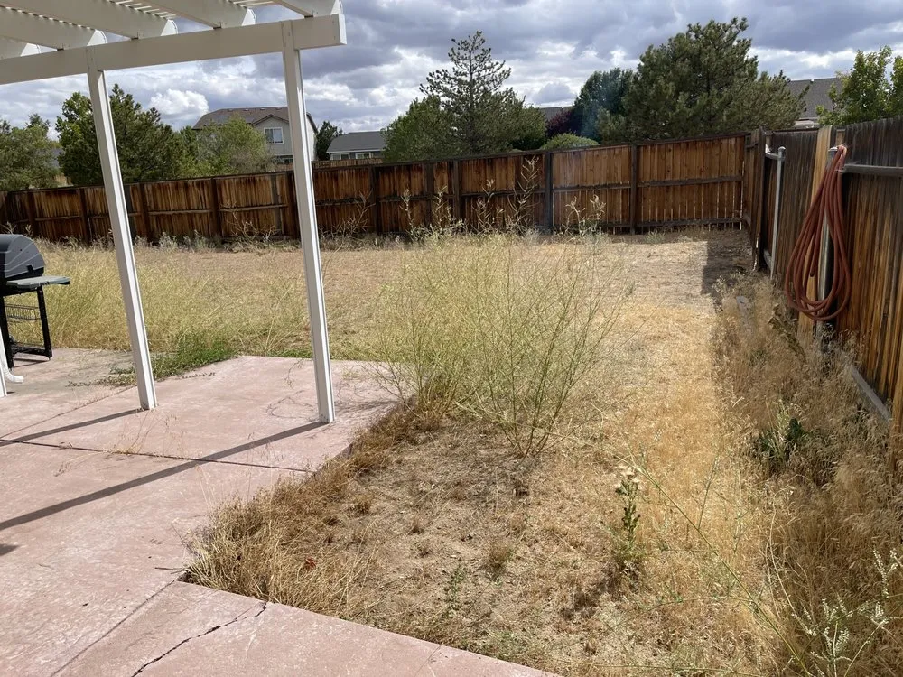 Reliable landscape installation experts serving Fernley, NV - Lawn Enforcement