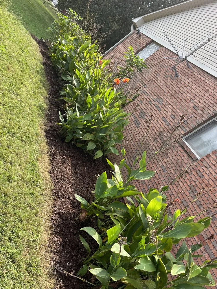 Expert outdoor landscaping experts serving Florence, AL - Lawn Enforcement