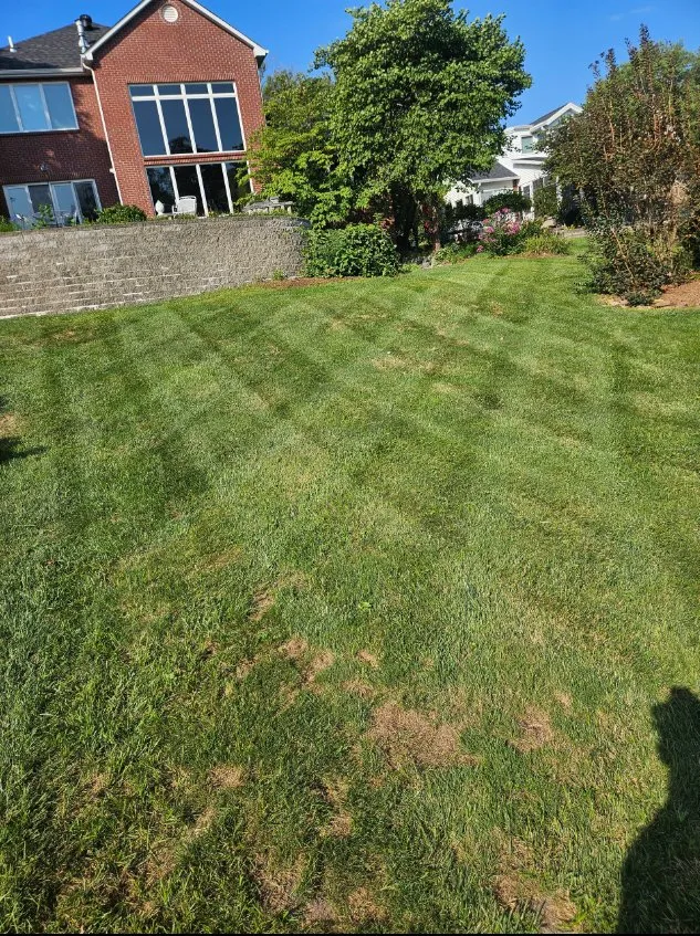 Reliable yard cleanup service near you in Jefferson City, MO by Lawn Enforcement