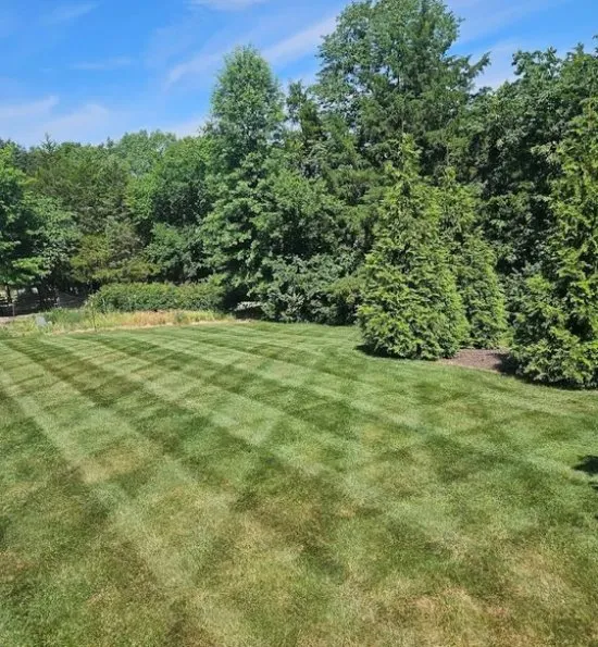 Expert lawn mowing service experts serving Jefferson City, MO - Lawn Enforcement