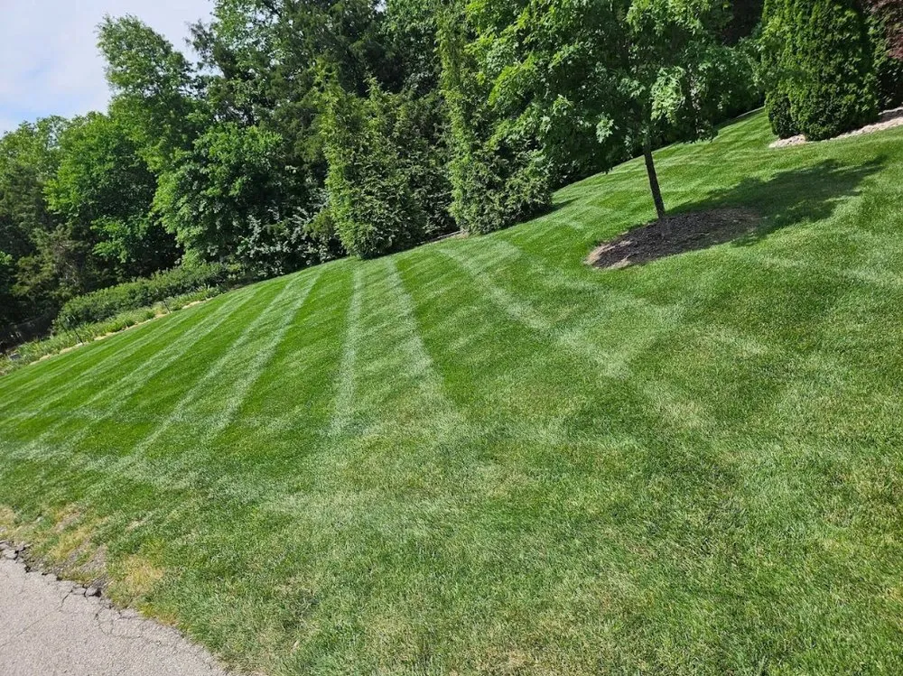 Custom yard maintenance in Jefferson City, MO by Lawn Enforcement