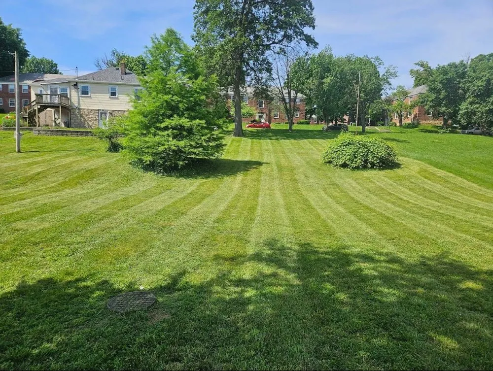 Expert landscape installation in Jefferson City, MO by Lawn Enforcement