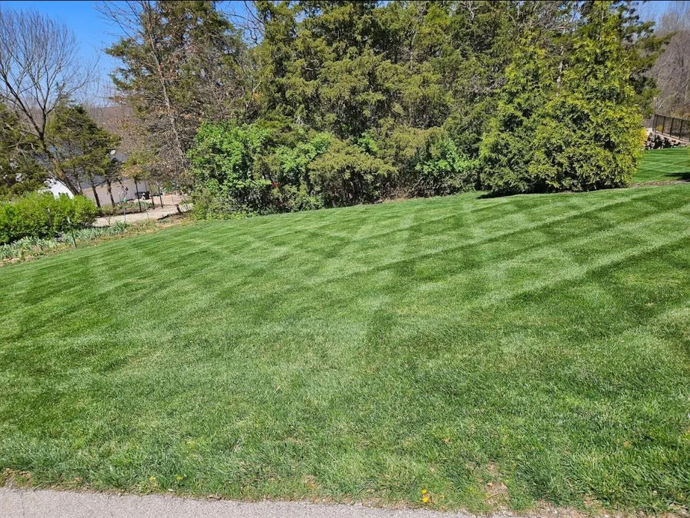 Expert outdoor landscaping with custom design in Jefferson City, MO by Lawn Enforcement