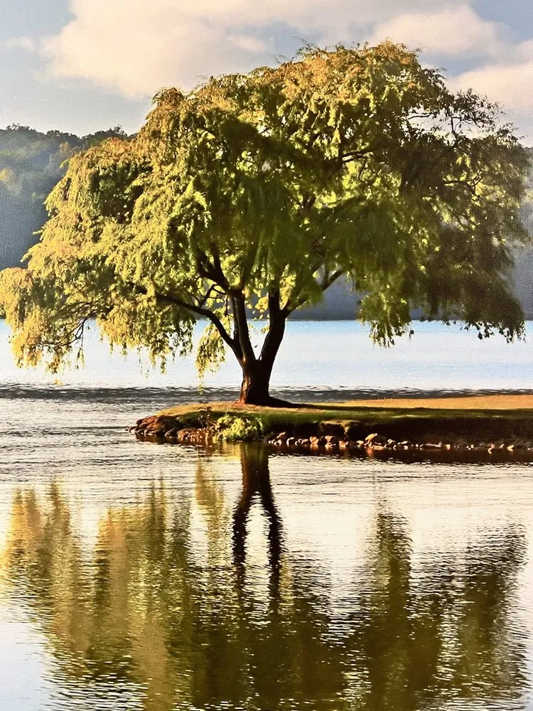 Custom garden landscaping in Lake Park, NC - Lawn Enforcement