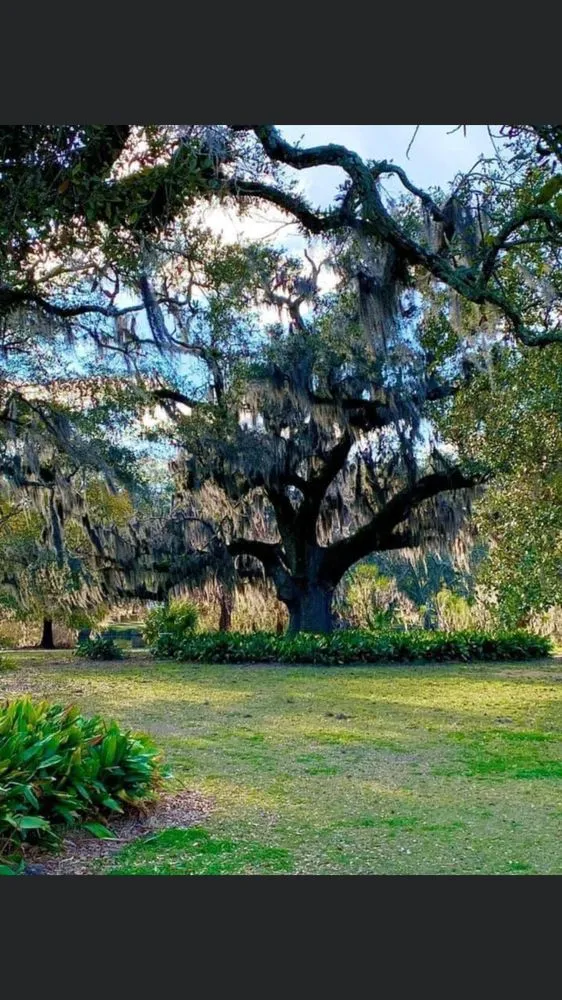 Professional residential landscaping for year-round maintenance in Lake Park, NC by Lawn Enforcement