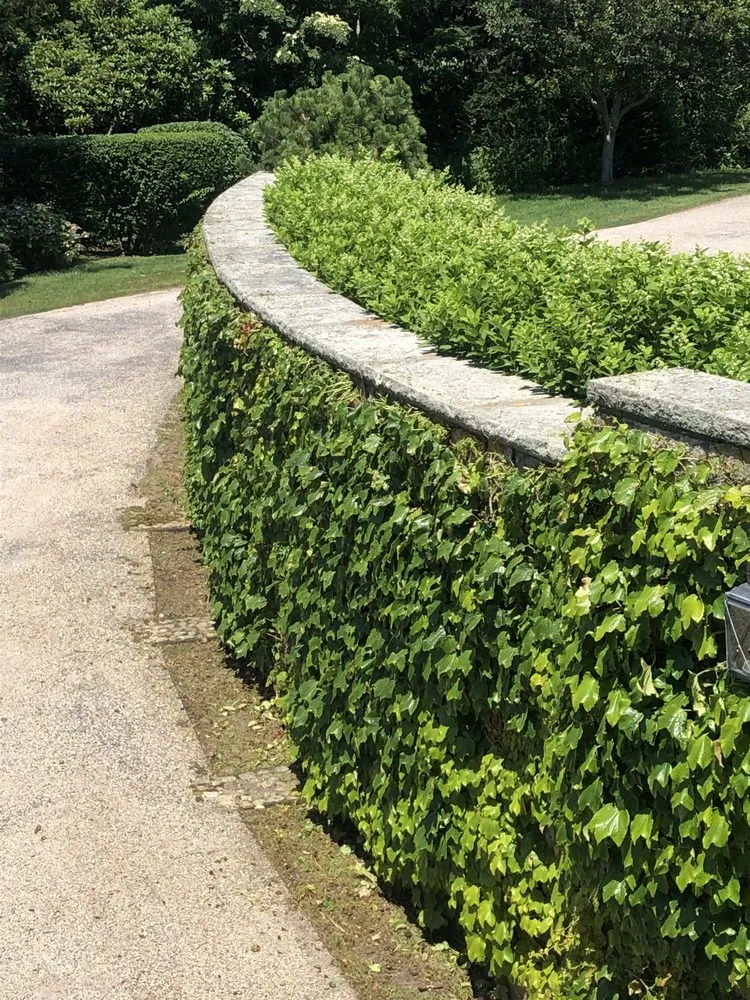 Affordable landscape design for year-round maintenance in Plymouth, MA by Lawn Enforcement Landscaping