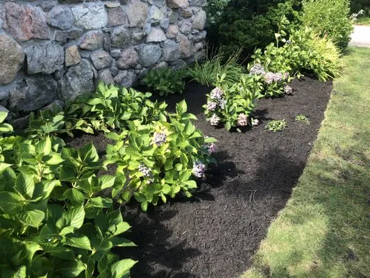 Lawn Enforcement Landscaping Logo