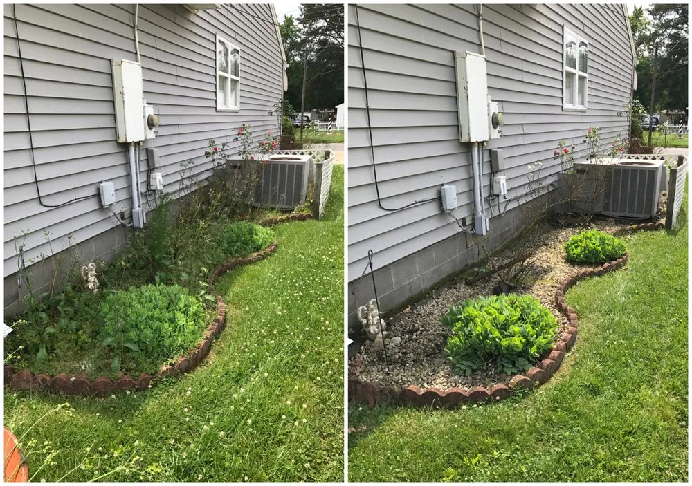 Professional yard cleanup service in Virginia Beach, VA - Lawn Enforcement Lawn Care