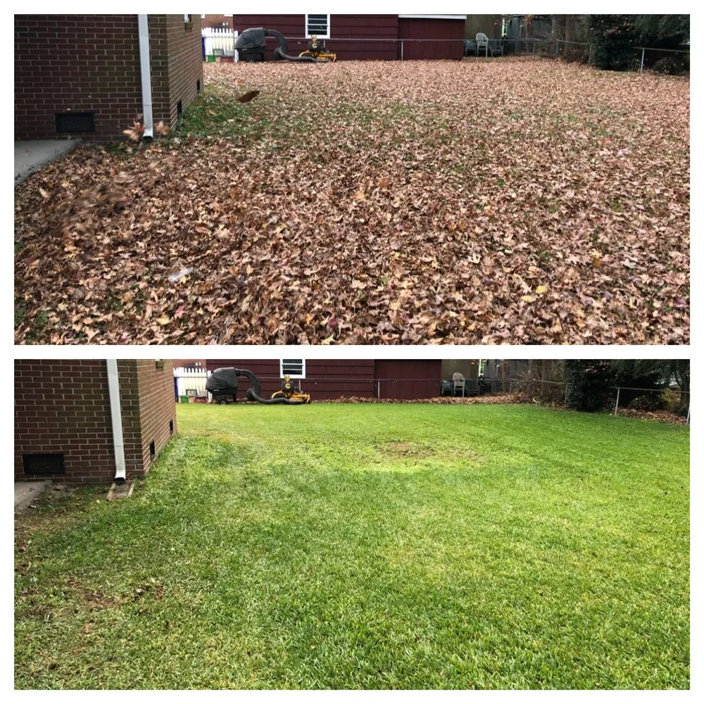 Custom landscape installation experts serving Virginia Beach, VA - Lawn Enforcement Lawn Care