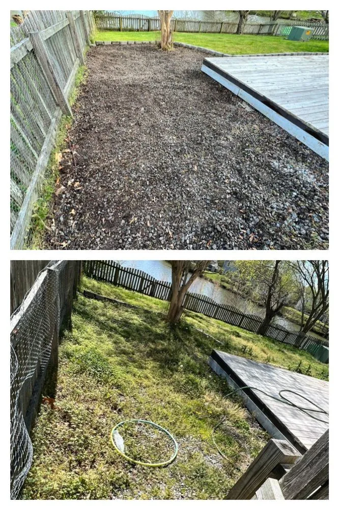 Reliable lawn care service experts serving Virginia Beach, VA - Lawn Enforcement Lawn Care