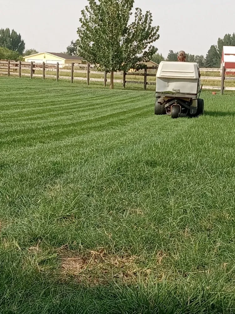 Trusted landscaping services for year-round maintenance in Letha, ID by Lawn Enforcement
