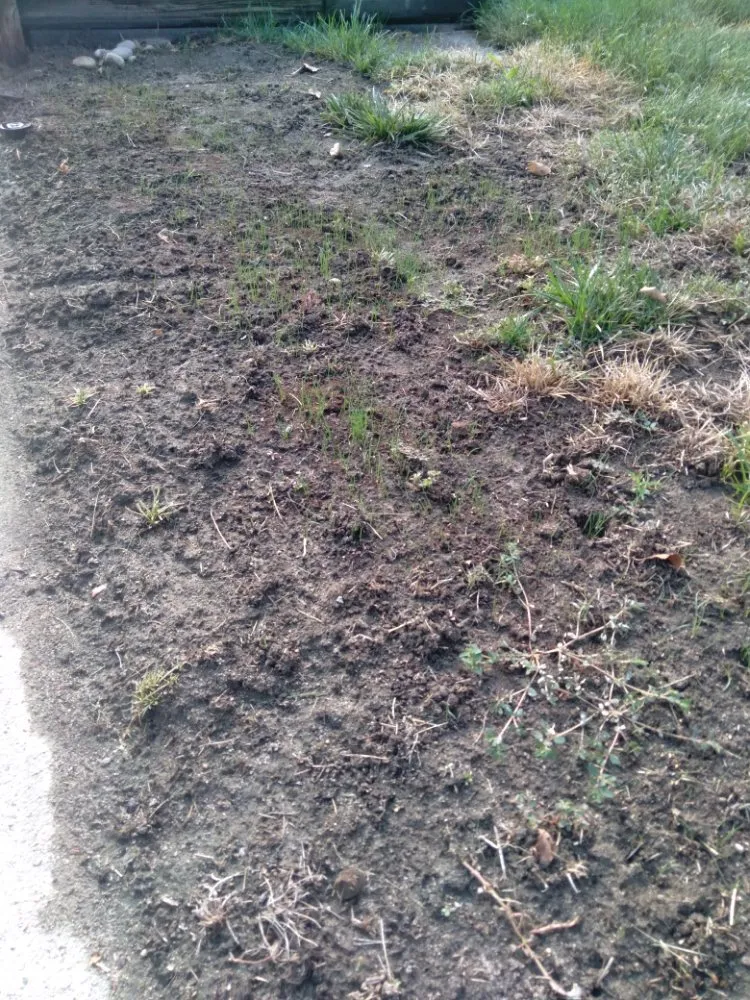 Local residential landscaping experts serving Letha, ID - Lawn Enforcement