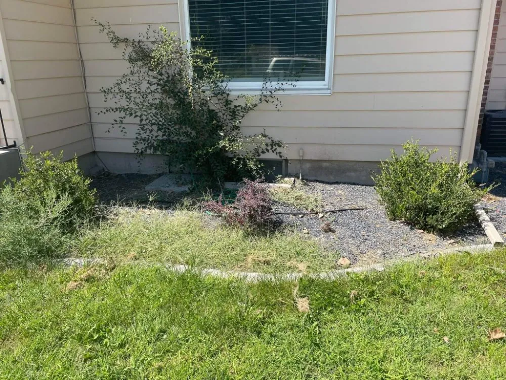 Reliable yard maintenance for year-round maintenance across Letha, ID - Lawn Enforcement