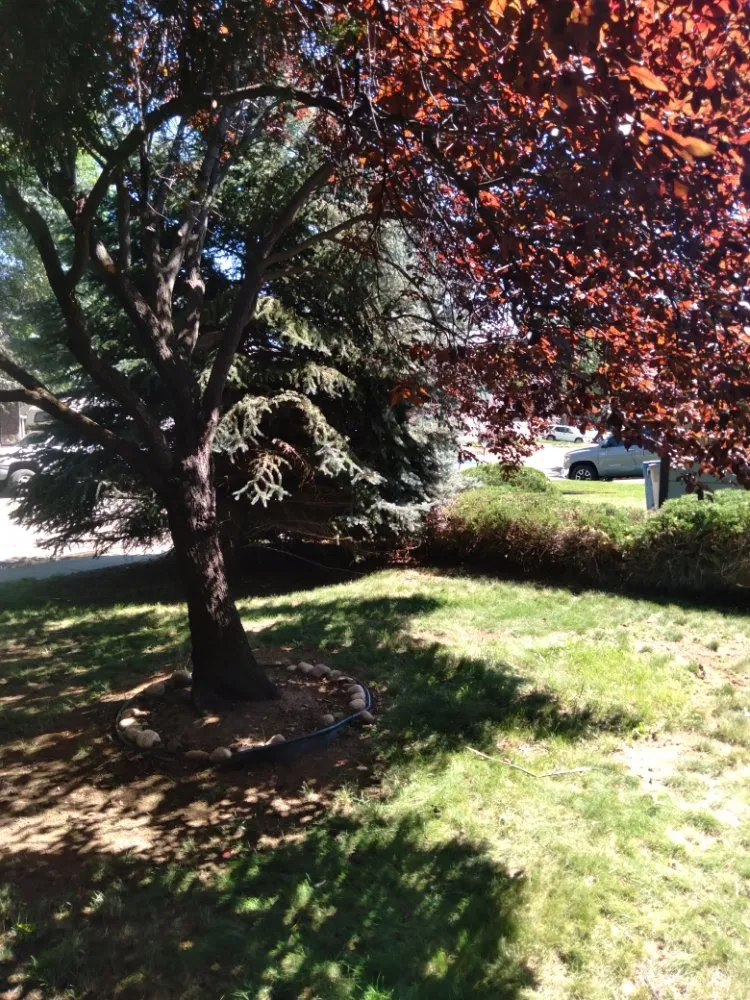 Custom outdoor landscaping in Letha, ID - Lawn Enforcement