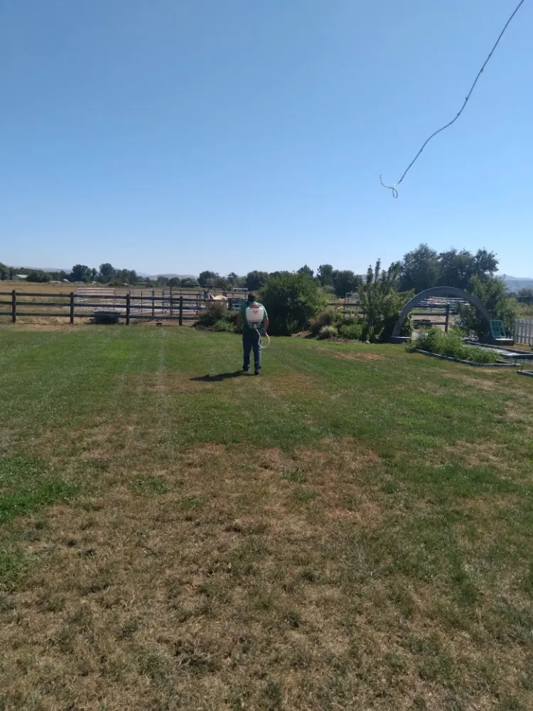 Professional landscape design in Letha, ID - Lawn Enforcement