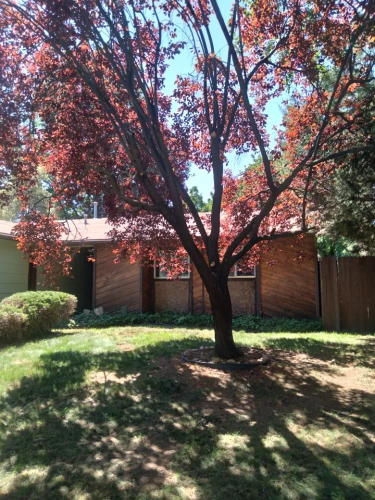 Professional yard maintenance in Letha, ID by Lawn Enforcement