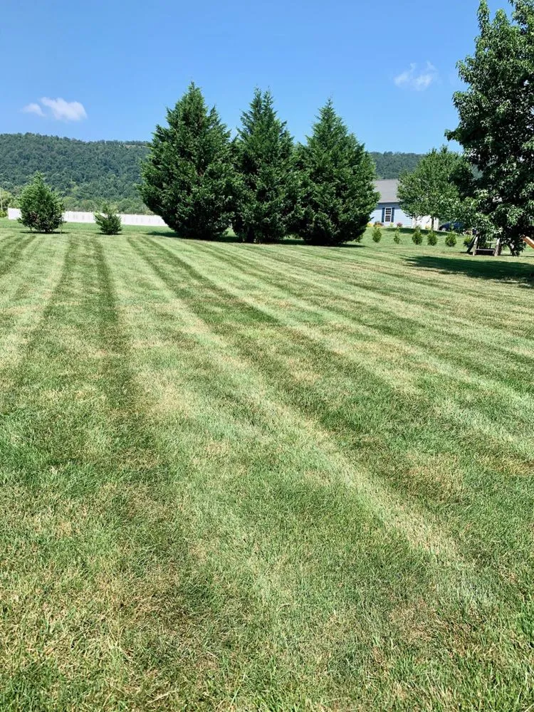 Top-rated yard cleanup service in Martinsburg, WV - Lawn Enforcement