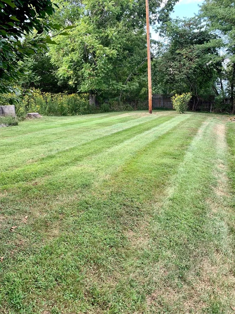 Professional yard cleanup service for residential properties across Martinsburg, WV - Lawn Enforcement