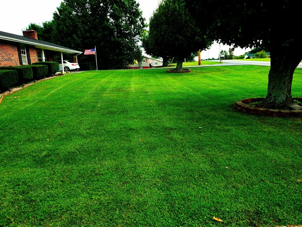 Custom yard cleanup service in Johnson City, TN by Lawn Enforcement Mowing and Landscaping