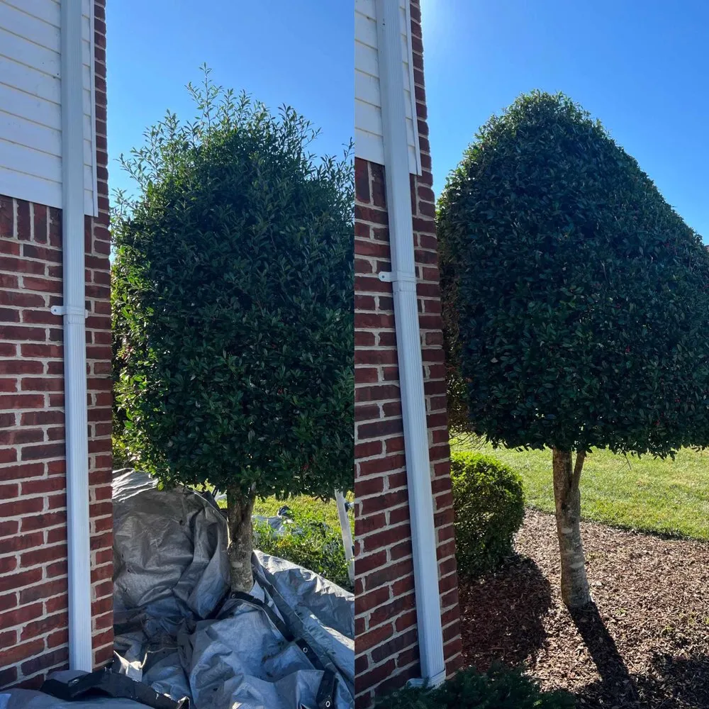 Professional garden landscaping for year-round maintenance across Kingsport, TN - Lawn Enforcement Mowing