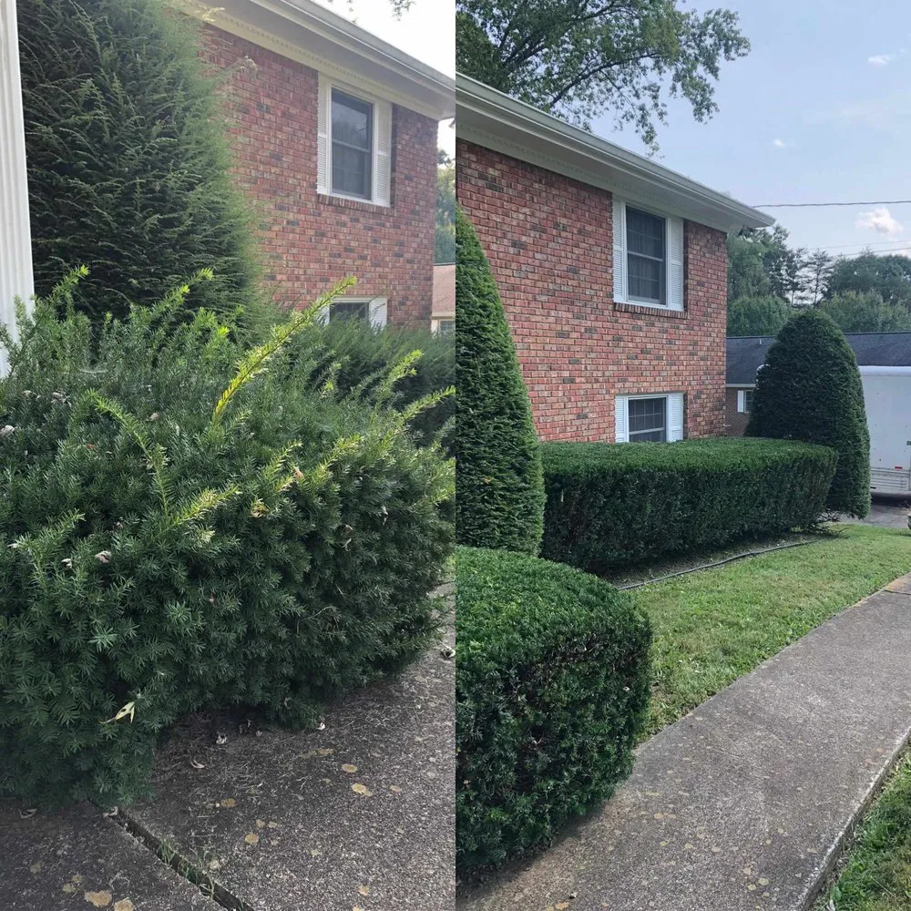 Trusted landscaping services experts serving Kingsport, TN - Lawn Enforcement Mowing