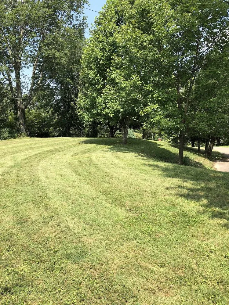 Local yard maintenance experts serving Kingsport, TN - Lawn Enforcement Mowing