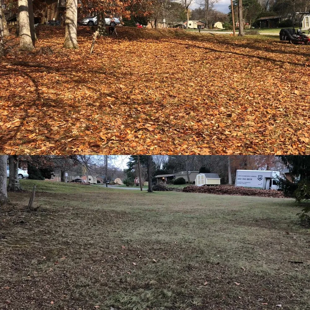 Expert outdoor landscaping in Kingsport, TN by Lawn Enforcement Mowing