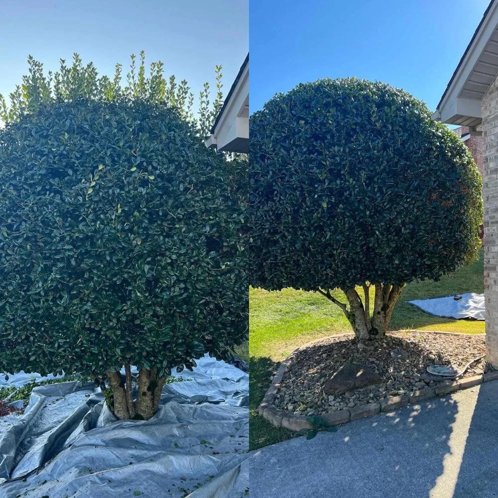 Affordable landscape design in Kingsport, TN - Lawn Enforcement Mowing