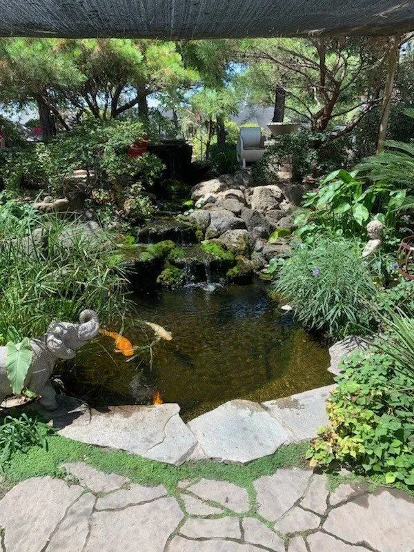 Local landscape design with custom design across Manteca, CA - Lawn Enforcement NorCal