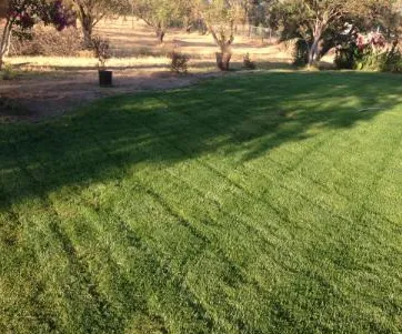 Professional outdoor landscaping in Manteca, CA - Lawn Enforcement NorCal