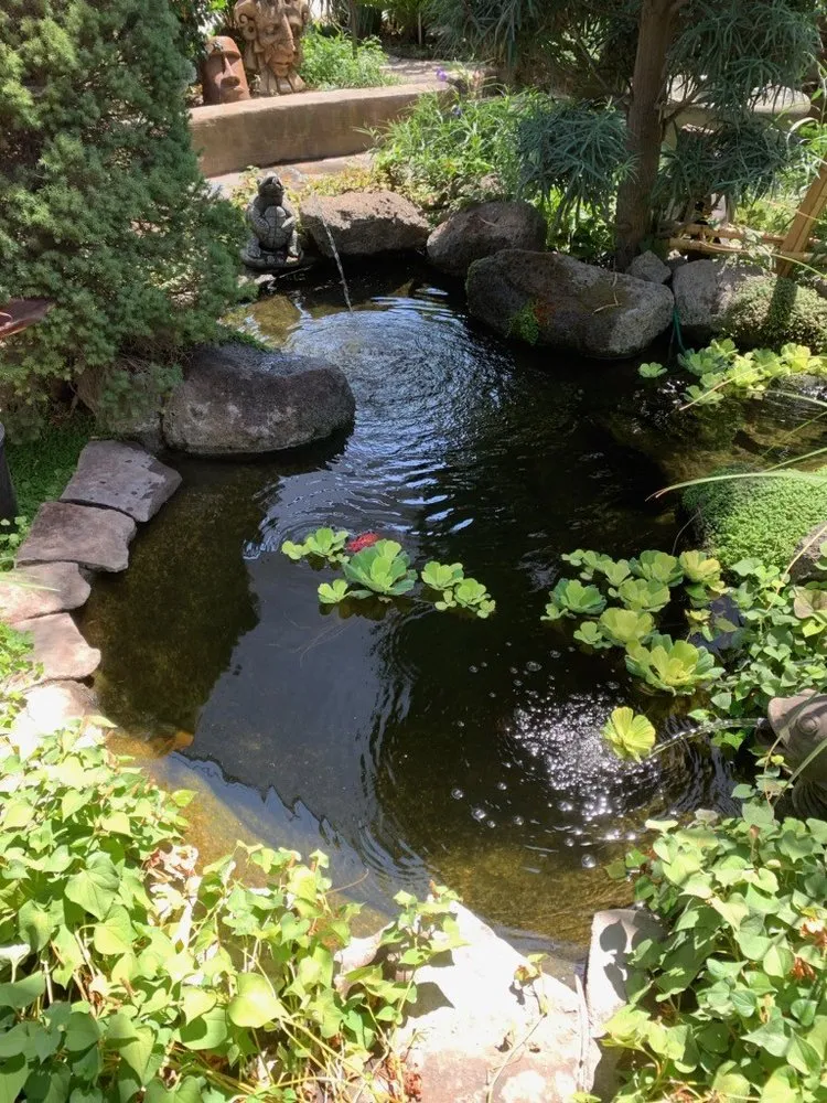 Local landscape design in Manteca, CA - Lawn Enforcement NorCal