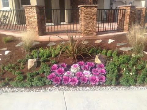 Local lawn care service near you in Manteca, CA by Lawn Enforcement NorCal