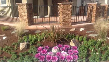 Custom yard cleanup service in Manteca, CA by Lawn Enforcement NorCal