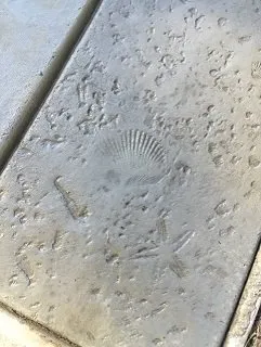 Custom garden landscaping in Manteca, CA - Lawn Enforcement NorCal