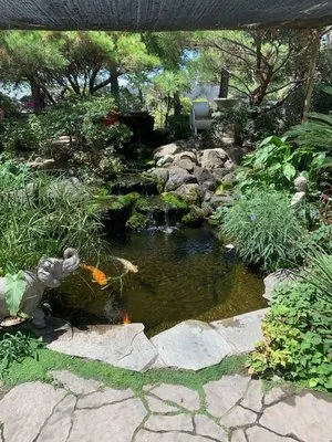 Lawn Enforcement NorCal Logo