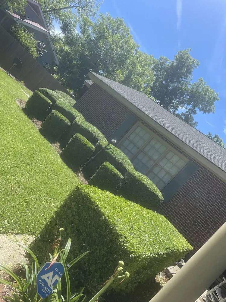 Custom outdoor landscaping experts serving Ocilla, GA - Lawn enforcement