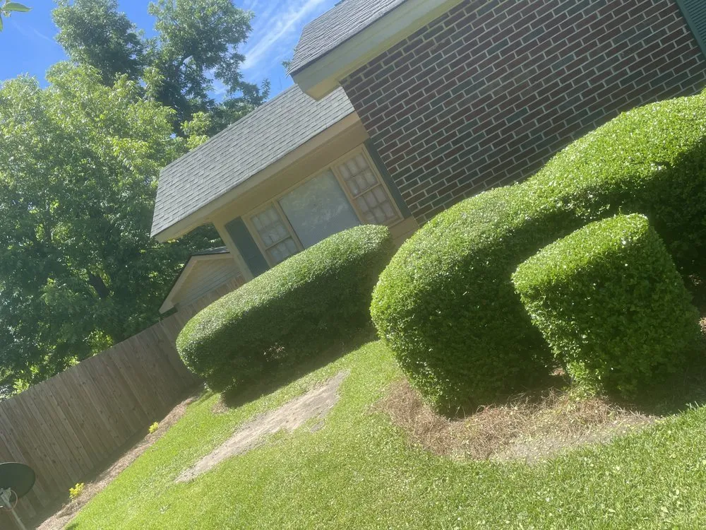 Professional yard cleanup service experts serving Ocilla, GA - Lawn enforcement