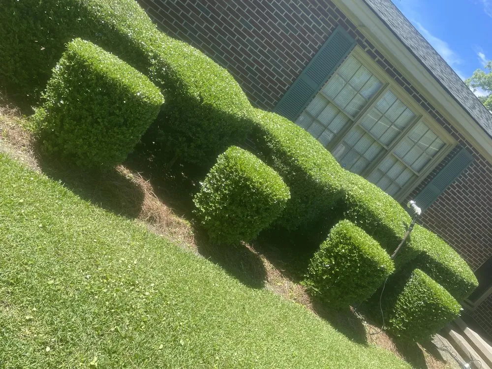 Professional lawn care service in Ocilla, GA by Lawn enforcement