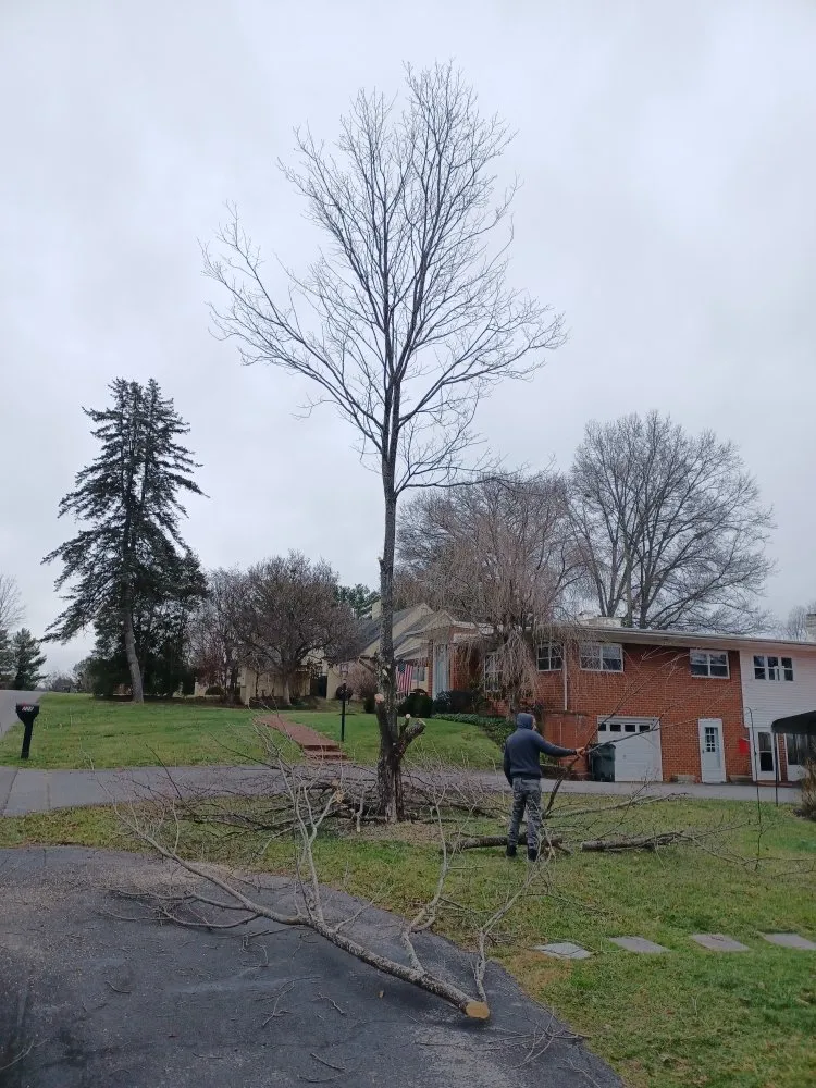 Top-rated lawn care service in Abingdon, VA by Lawn Enforcement of Abingdon