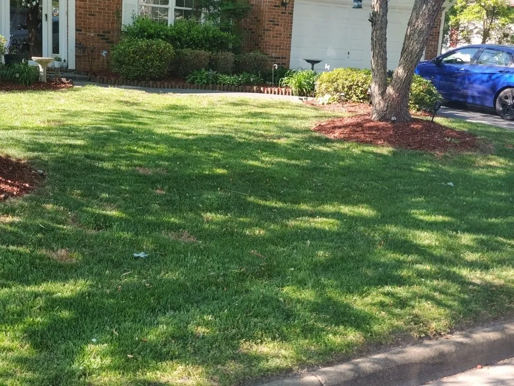 Custom lawn care service experts serving Portsmouth, VA - Lawn Enforcement