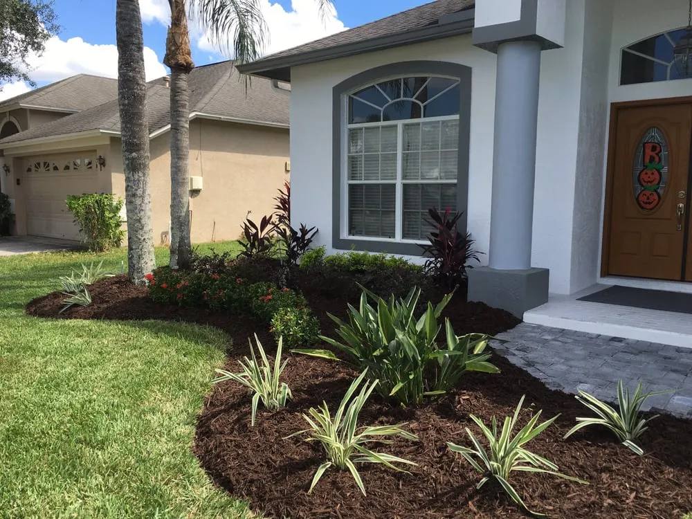 Expert yard maintenance near you across Wesley Chapel, FL - Lawn Enforcement Property Management