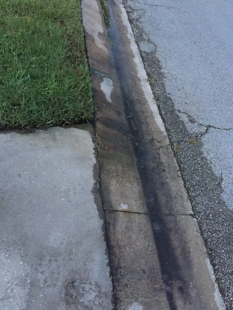 Expert landscape installation in Wesley Chapel, FL by Lawn Enforcement Property Management