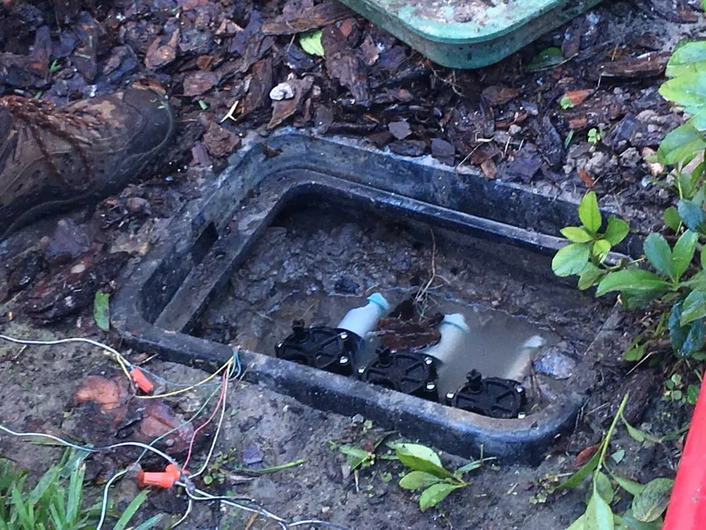 Affordable lawn care service for beautiful yards across Wesley Chapel, FL - Lawn Enforcement Property Management