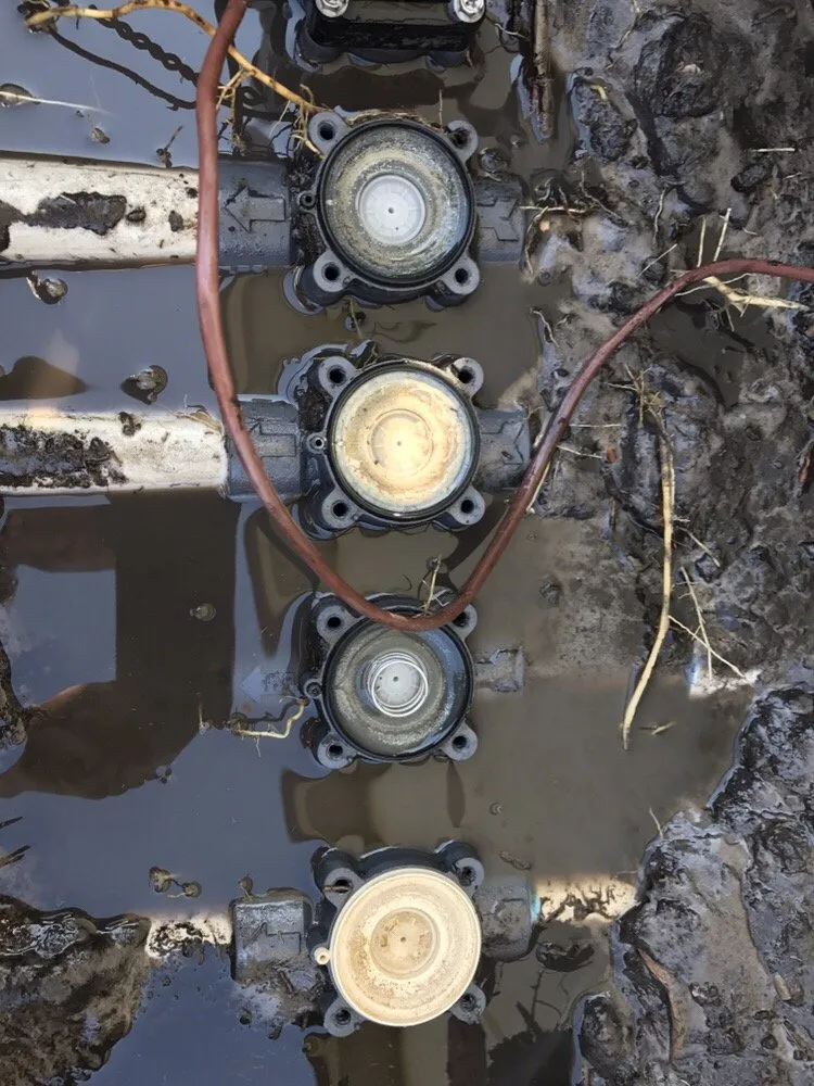 Affordable landscape installation for beautiful yards in Wesley Chapel, FL by Lawn Enforcement Property Management