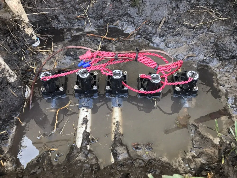 Trusted outdoor landscaping near you across Wesley Chapel, FL - Lawn Enforcement Property Management