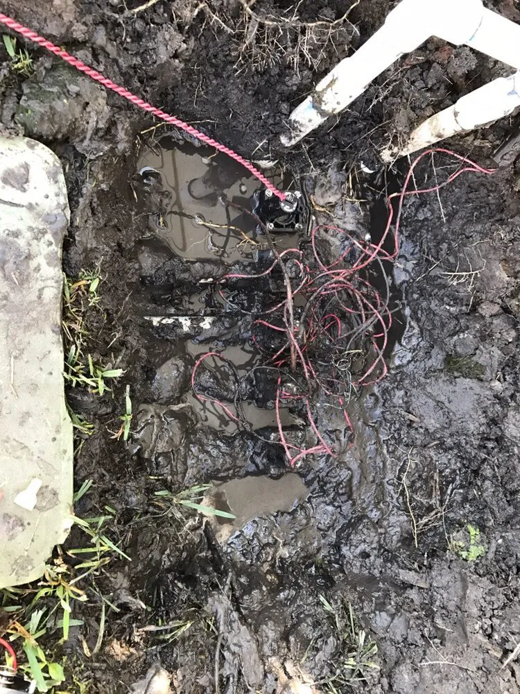 Trusted outdoor landscaping in Wesley Chapel, FL - Lawn Enforcement Property Management